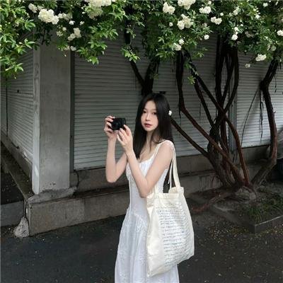 猪就是猪